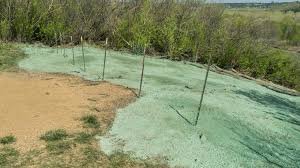 Hydroseeding and erosion control in Austin, Texas