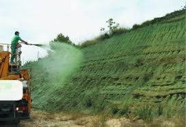 Completed hydroseeding project in Austin, TX by Natural HydroSeeding LLC